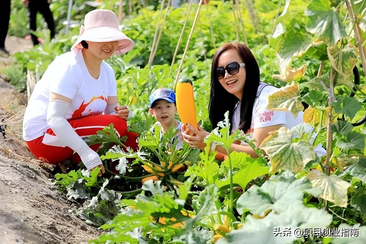 适合新手的赚钱小生意创业,创业小生意最赚钱的行业