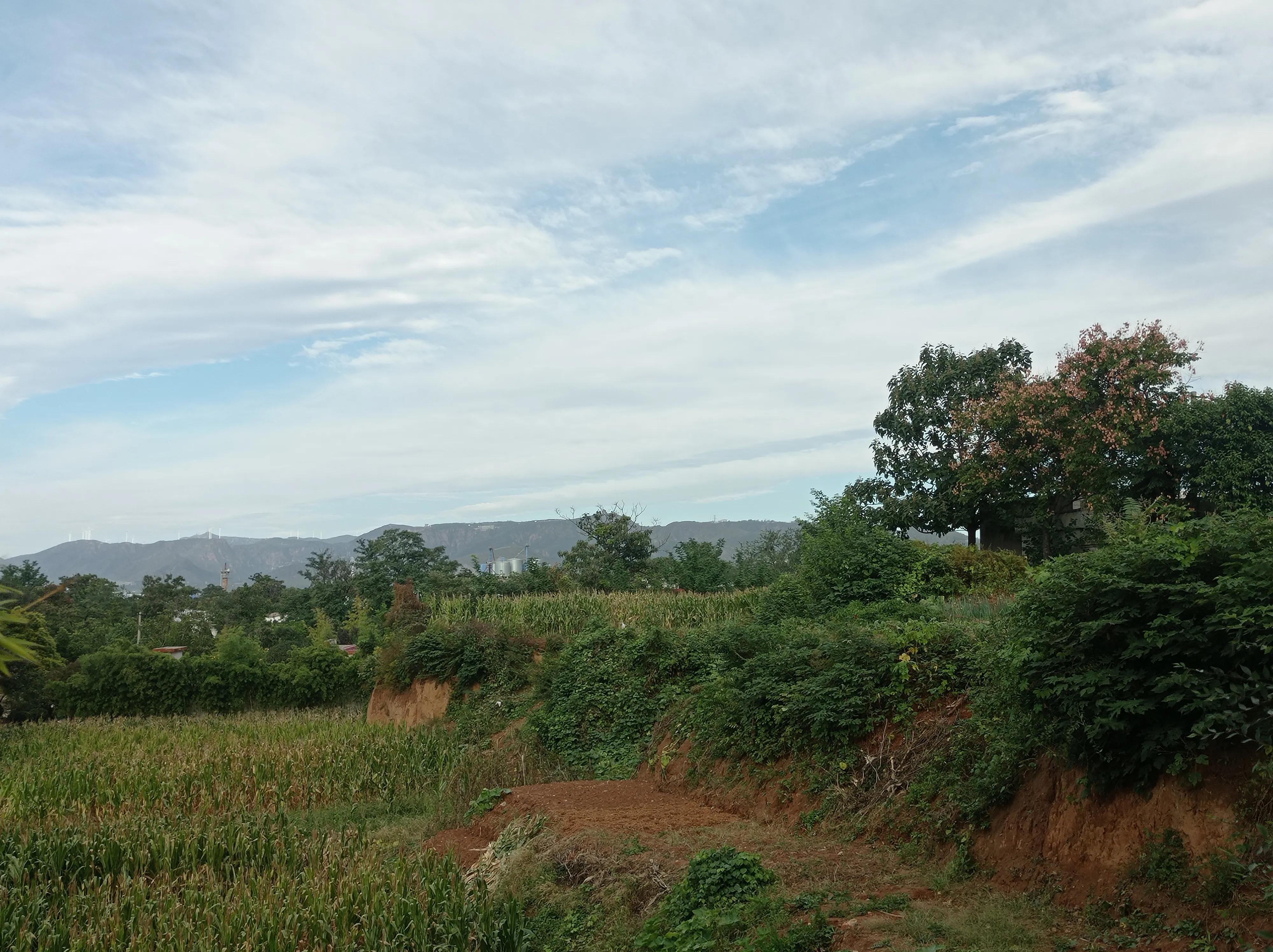炒股是靠什么赚钱的,炒股能赚钱吗新手炒股有没有风险