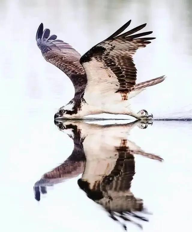 17张你没见过的图片太震撼了,67张罕见的照片颠覆你的世界