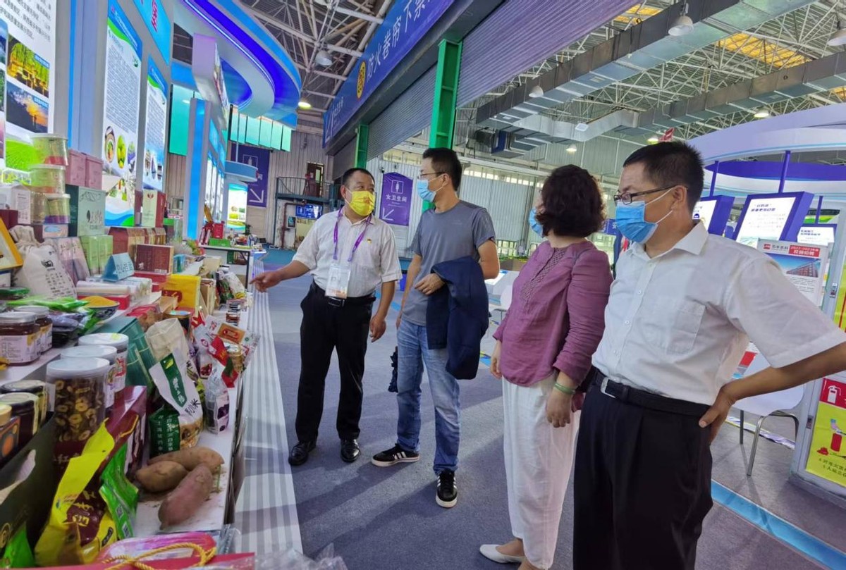 从乡村振兴看中国式现代化,从乡村振兴看新型农村发展