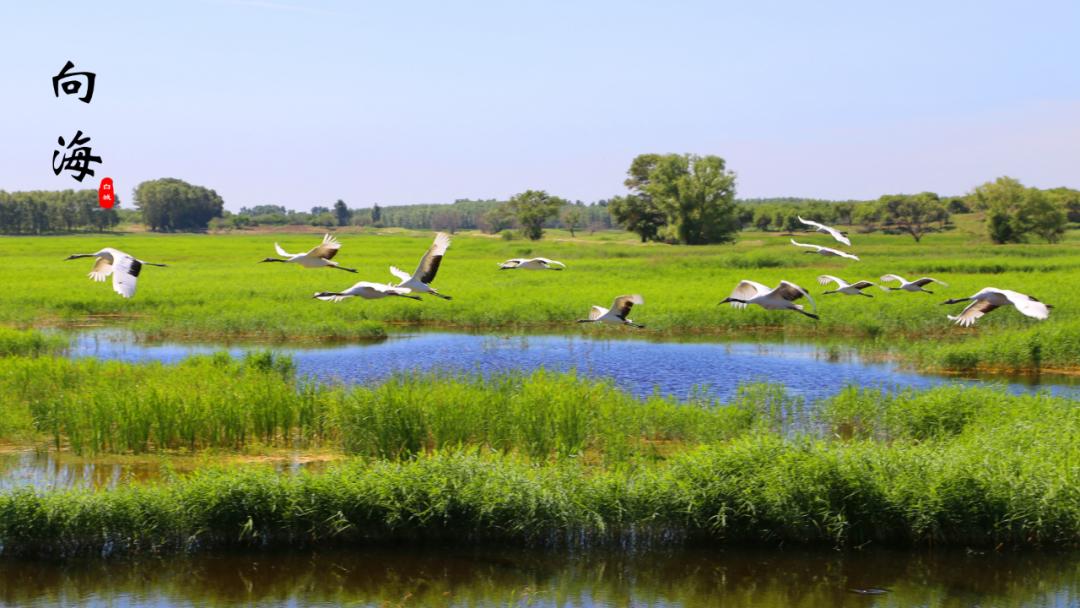 白城冬天适合旅游的地方,白城毓才踏青