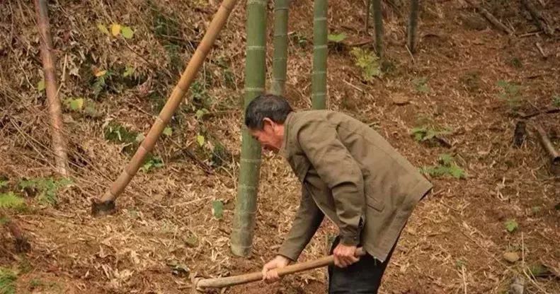 这家藏在千岛湖里的神仙民宿,千岛湖湖之野精品民宿