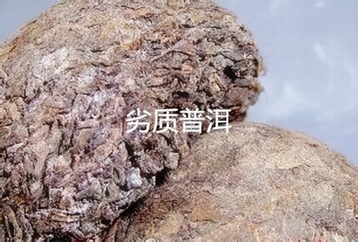 一克熟茶,普洱熟茶三年了能喝吗有毒吗