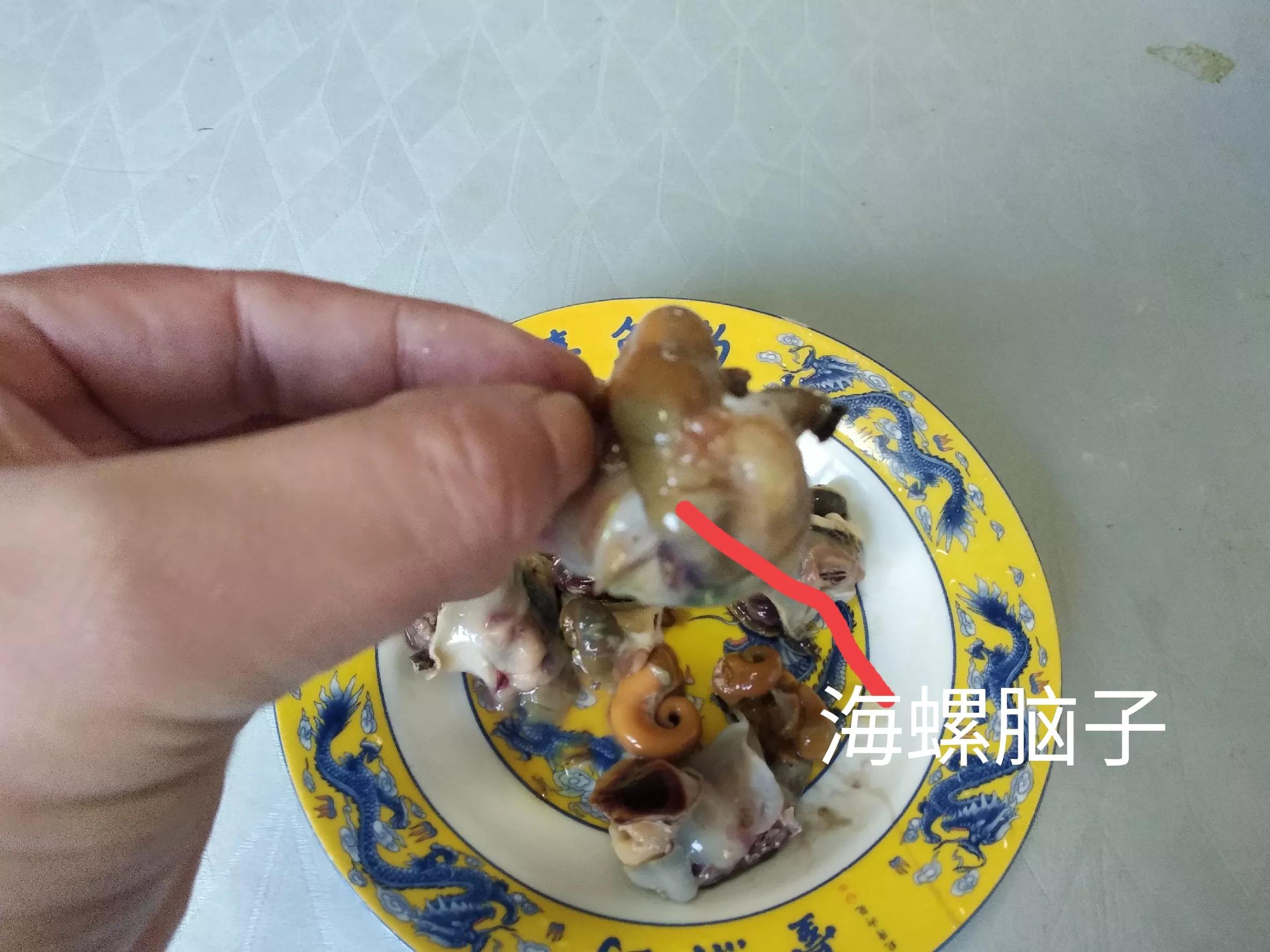 吃海螺生吃还是煮着吃,海螺的尾部到底是黄还是屎
