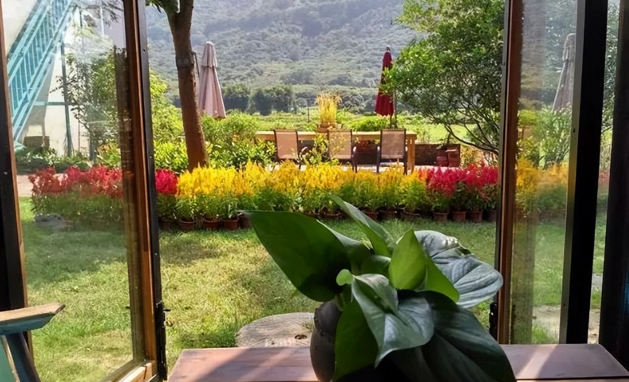 如何规划经营百亩农场才能更赚钱,共享农场模式1.9亩收入20万