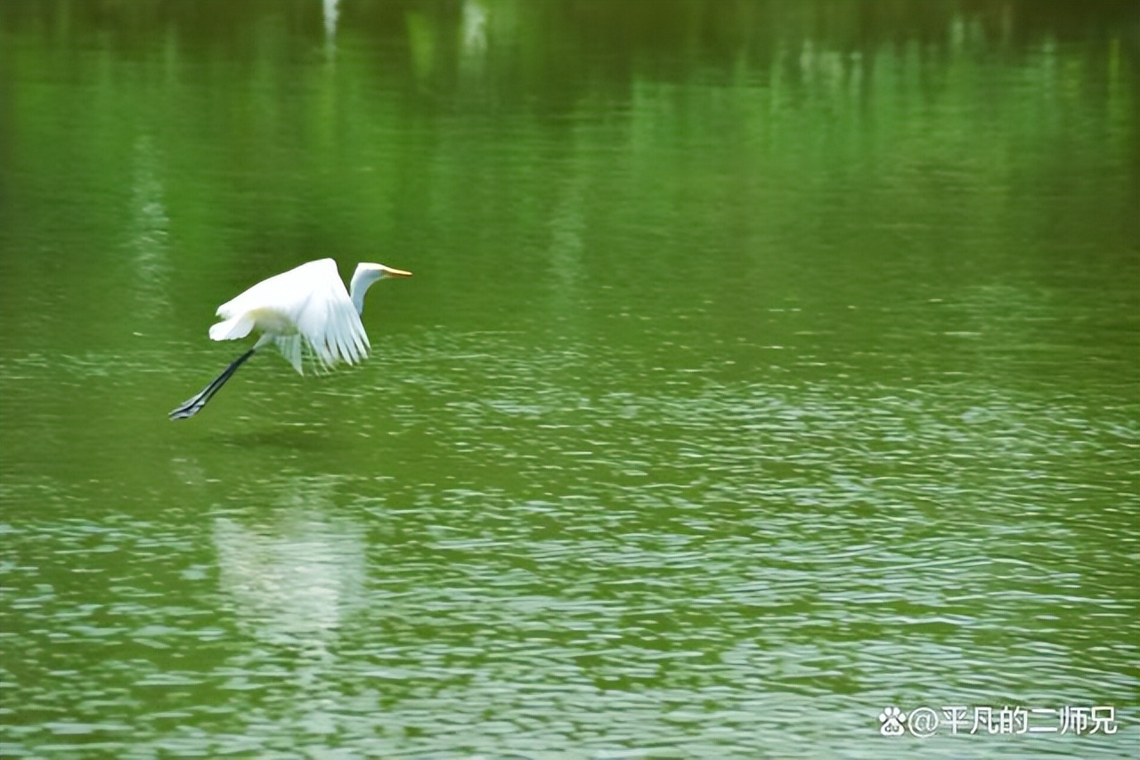 南昌出发三日游旅游景点推荐表,南昌周边旅游攻略溪霞怪石岭景点