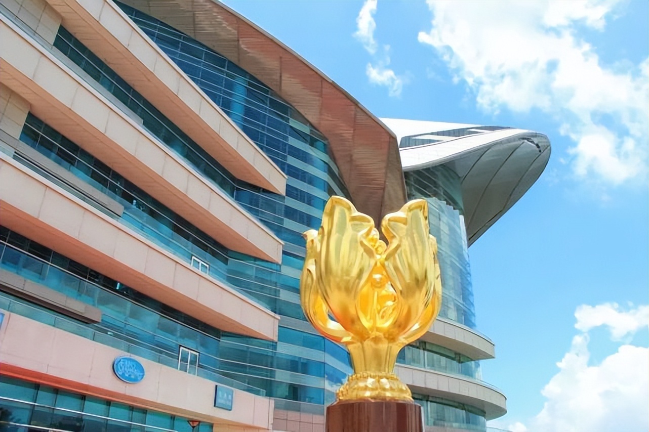 香港的社会福利保障有哪些,香港社会福利老人生活津贴