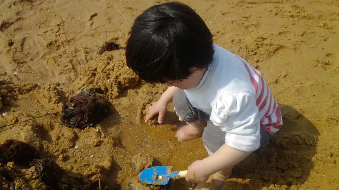 春天的第一场露营安排起来,春天里第一次露营