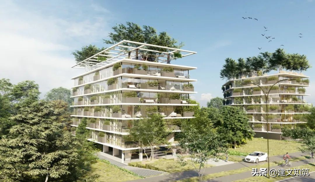 waf2023世锦赛,waf国内排名