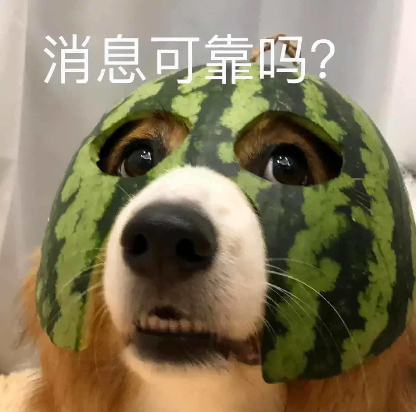 英雄联盟王者11.3.0更新,英雄联盟王者12.3正式服更新