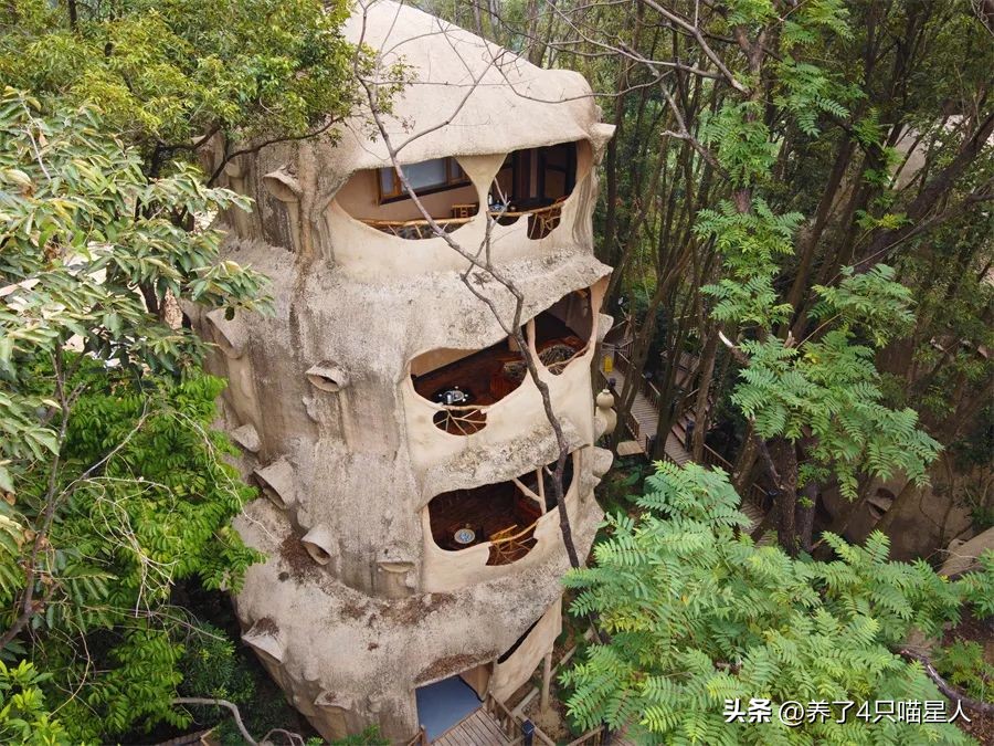 英德野渡谷轻奢民宿,清远住在山里的民宿