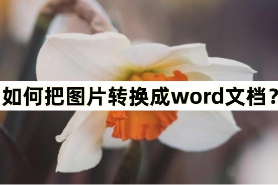 iphone扫描图片变成word文档,图片怎样转换word
