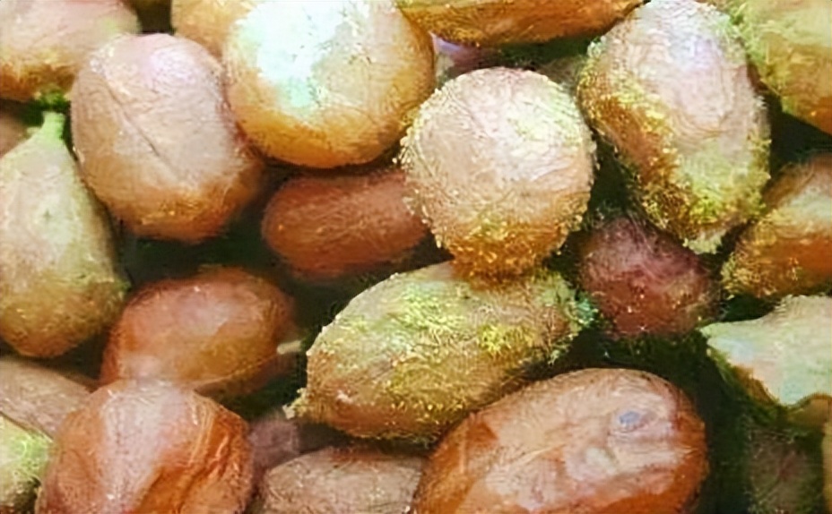 食物中毒为什么舌尖有白泡,舌尖上的安全中毒视频