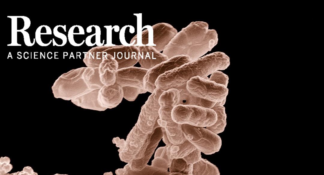 科研人员李兰娟,医学专家李兰娟院士