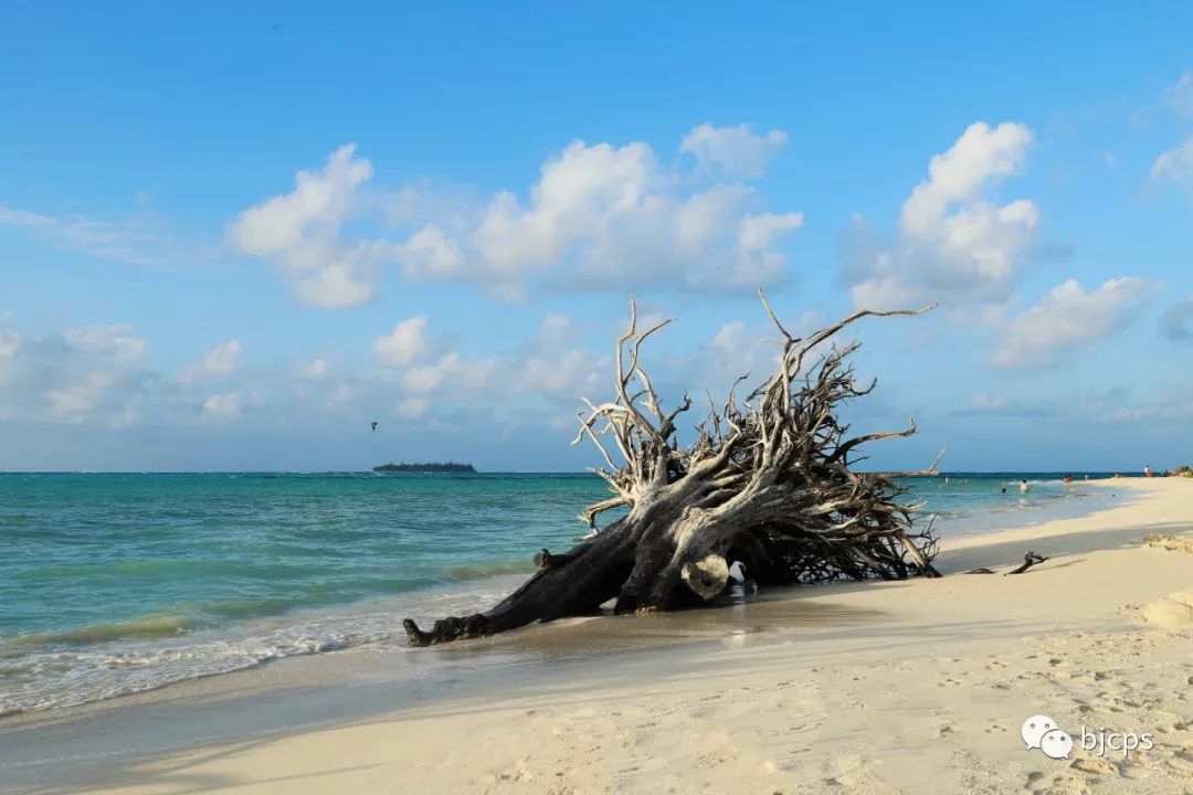 塞班岛免签政策45天还是14天,为什么塞班岛免签