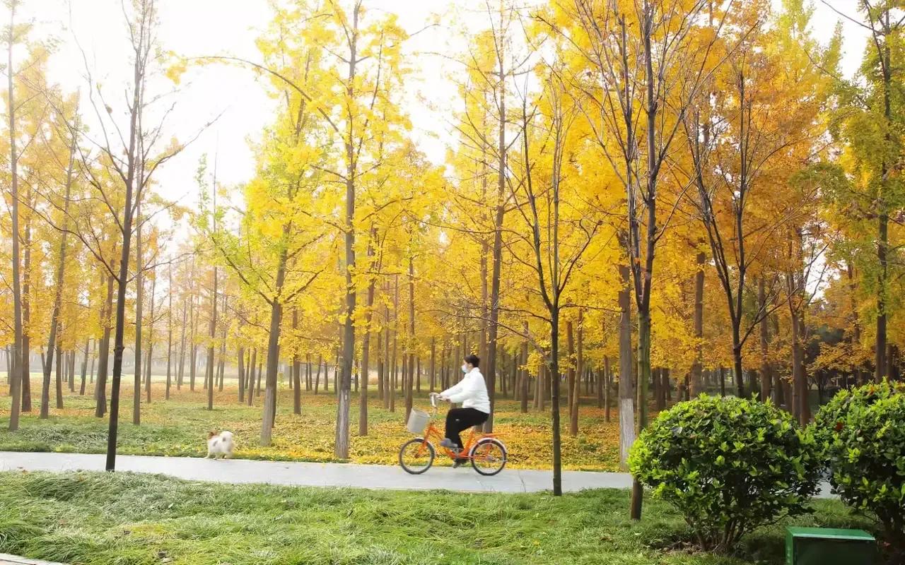 咸阳最好的公园在哪里,咸阳龙湖彩虹郦城规划有公园吗