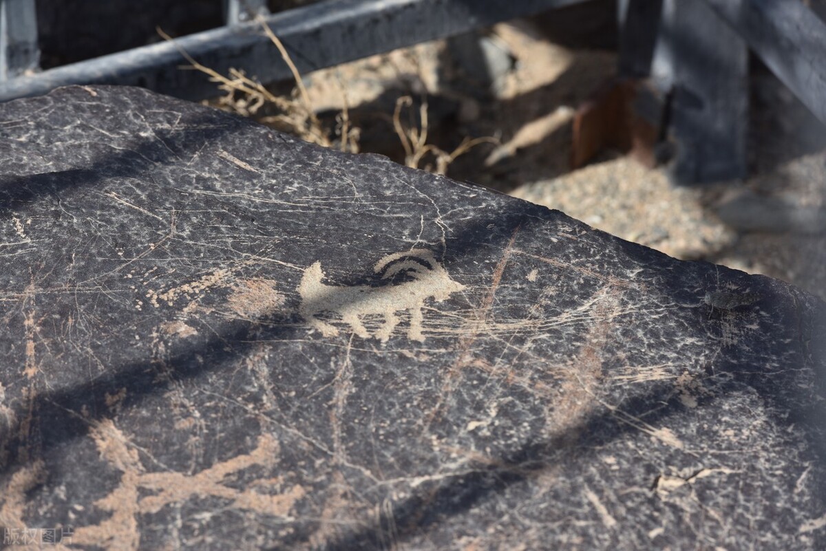 阿拉善旅游攻略必玩的景点地图,内蒙古阿拉善游玩攻略