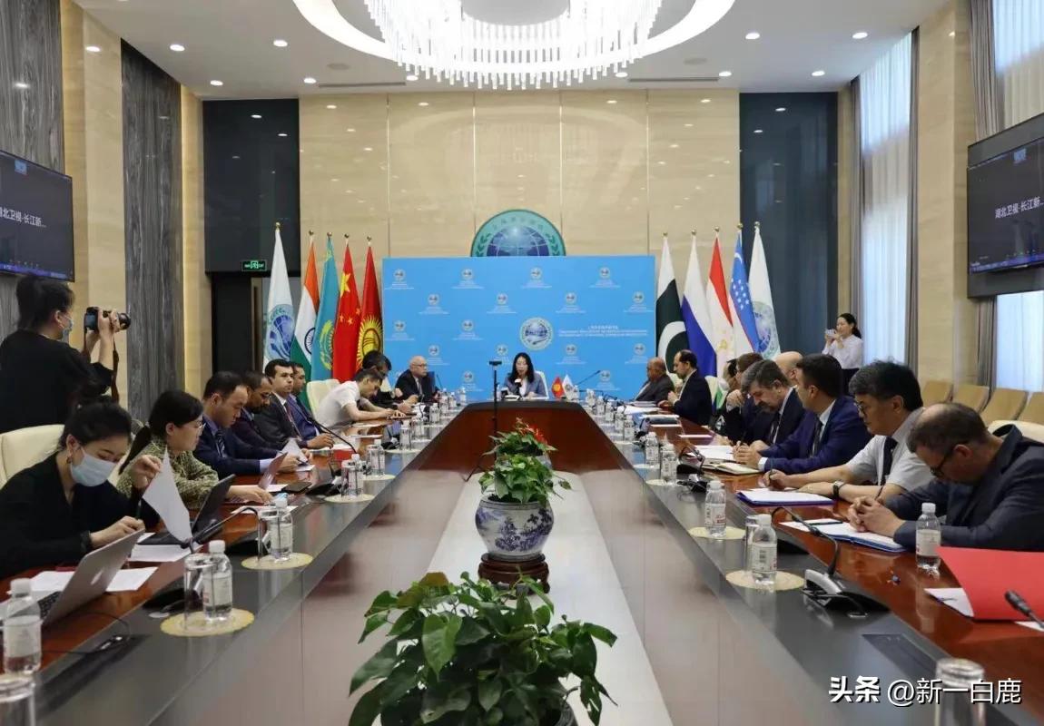 中亚五国峰会领导人进场,中亚峰会各国领导