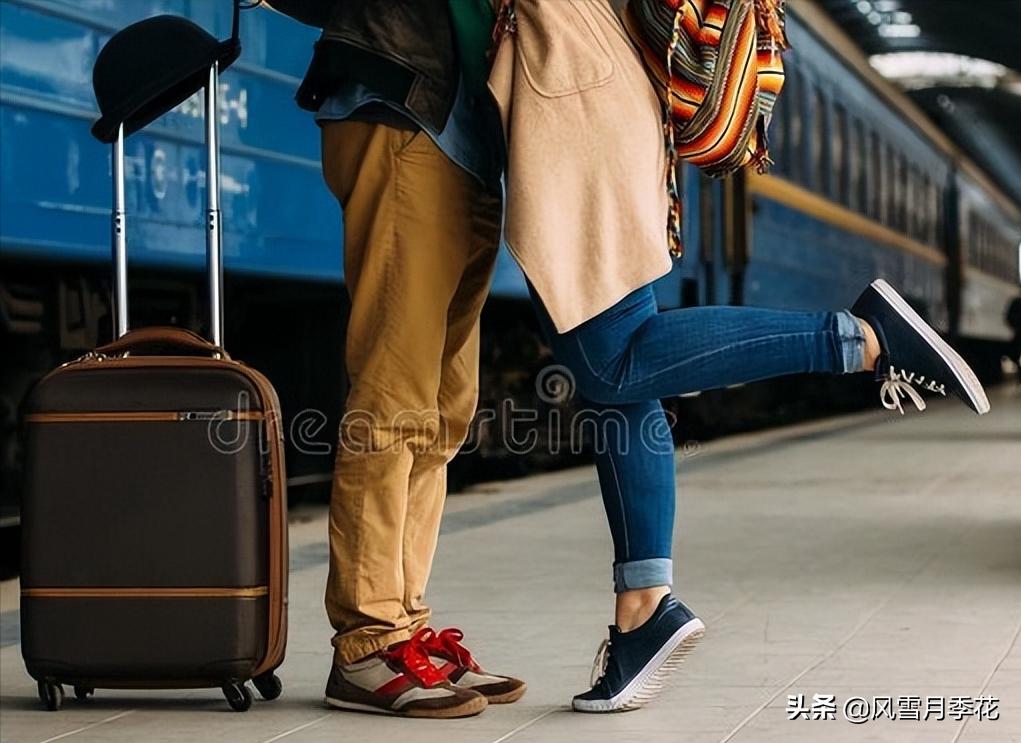 金蝉的品种的叫声,金蝉怎么鸣叫