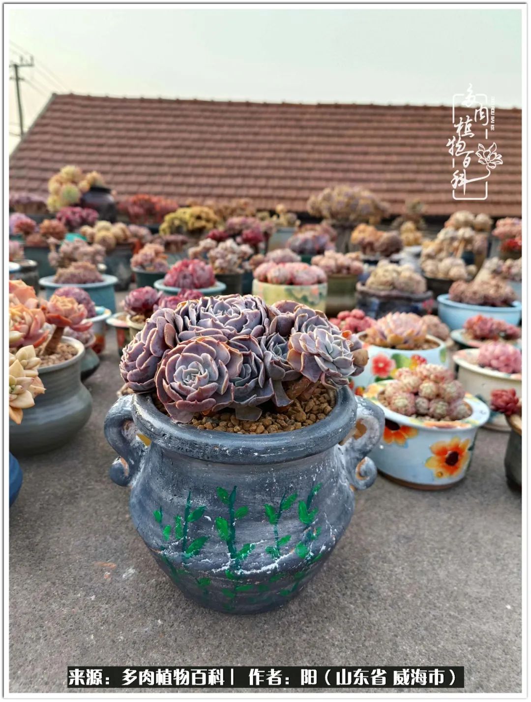 浜洪棿鐑熺伀鑷湁涓囧崈棰滆壊,浜洪棿鐑熺伀鐨嗘槸骞冲嚒棰滆壊