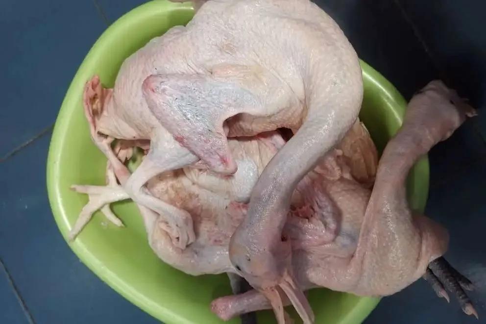 腊鸭腌制大全,自家腌制的腊鸭