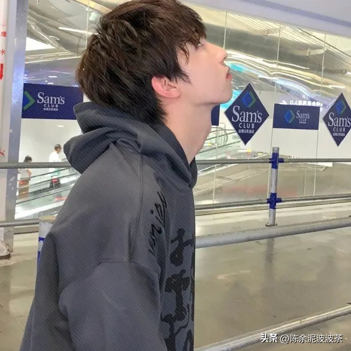 可爱的猫咪头像和小狗头像,团子头像可爱微信头像