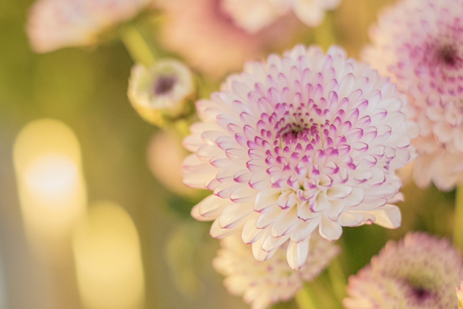 佳能eosr10实拍效果,佳能eosr10怎么样