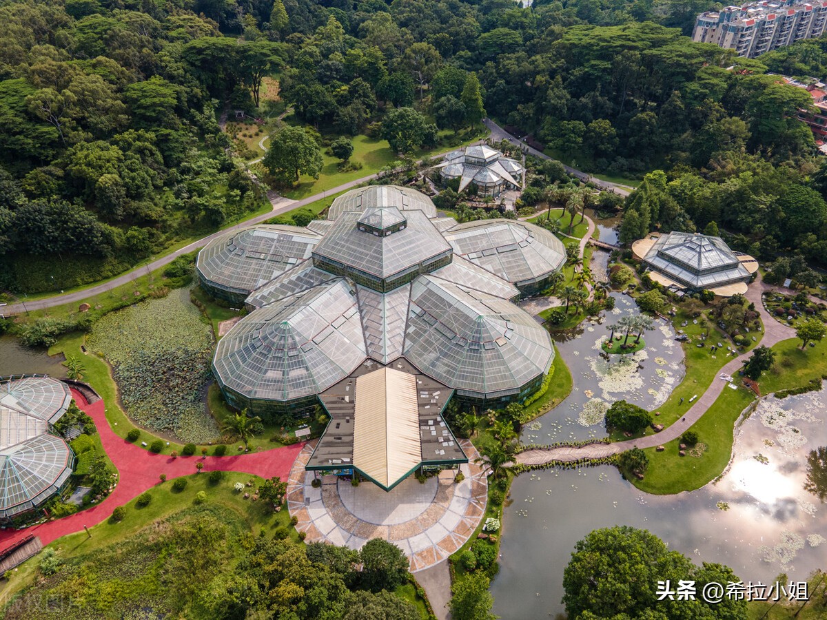 广州旅游：来广州一定要去的14个景点，你都打卡了吗？（上篇）