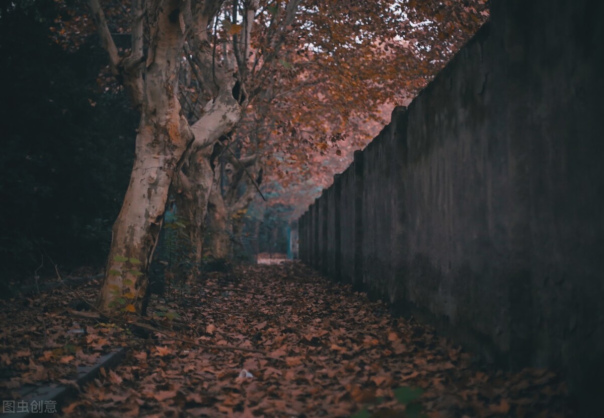 所有穿越重生小说,盘点几本异世重生小说