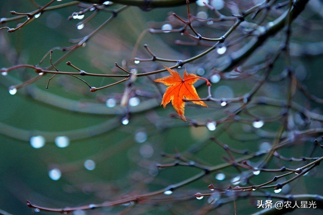 南方大雨预示什么天气情况,天气预报为什么能测出几点下雨