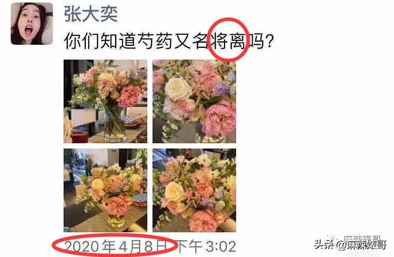 网红张大奕官宣订婚对象是谁,跟张大奕找对象的是谁