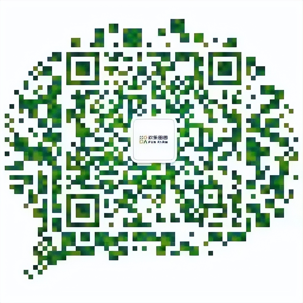 端午假期光明活动超精彩！音乐live、摘荔枝、包粽子……等你解锁！