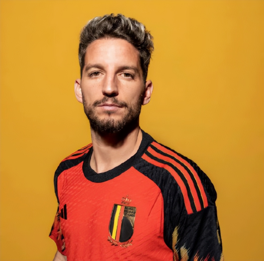 比利时足球历史十大超级巨星,比利时足球明星卢卡库介绍