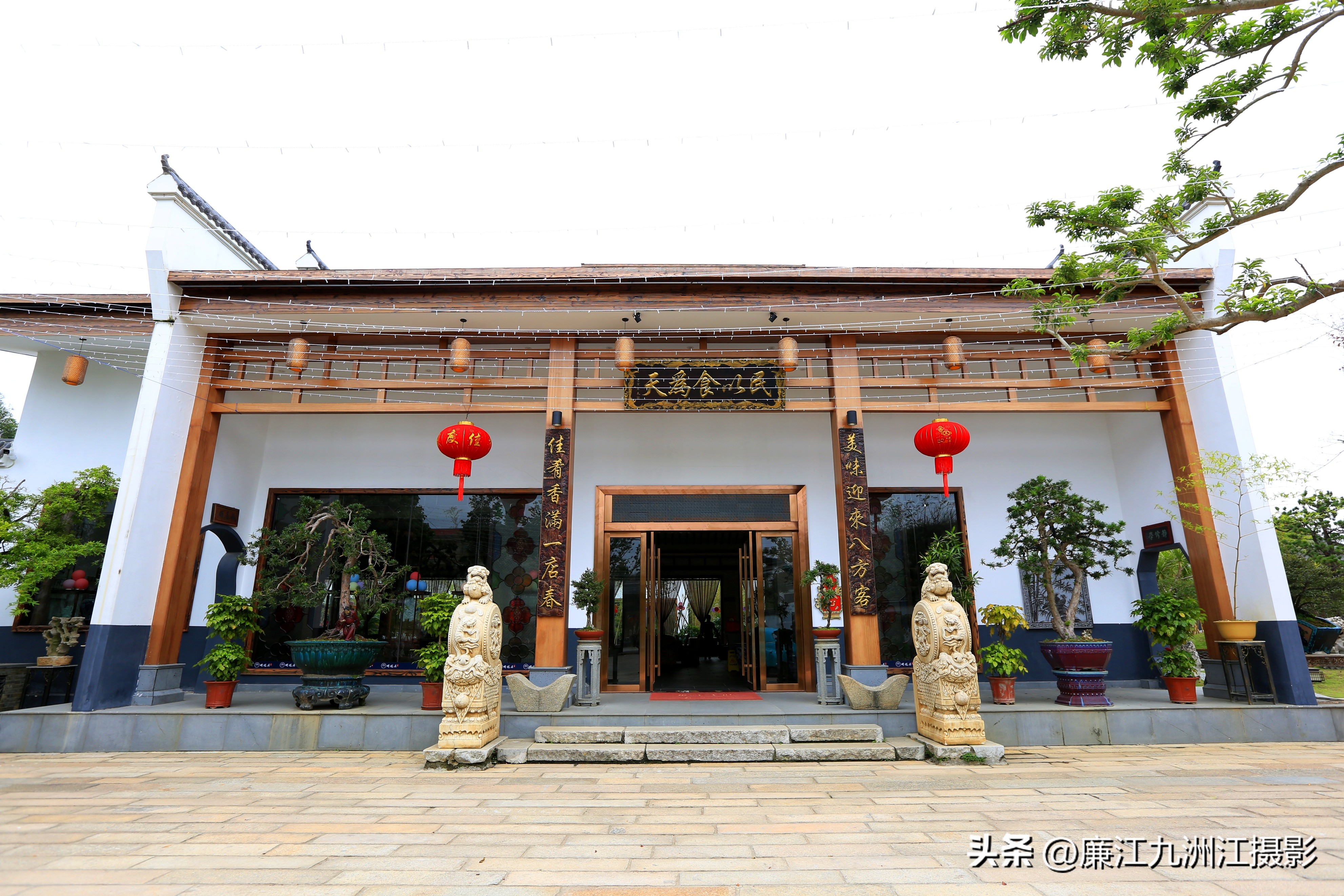 最高端的盆景展,一场惊艳的盆景展