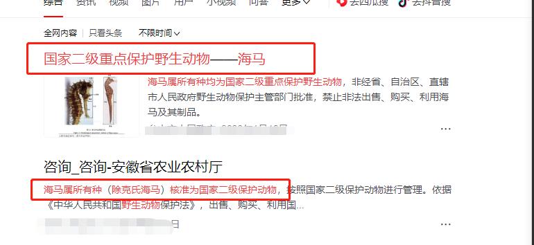 能炖汤当中药的养殖海马！一克卖20！为啥养它的人却很少？