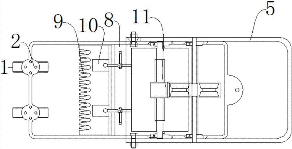 混合草坪养护措施,混合草坪施工