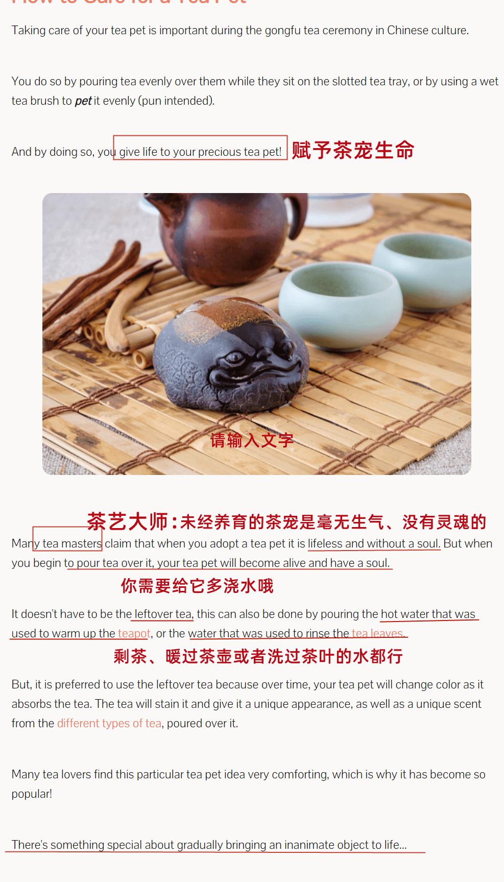 茶宠海外,外网最火茶宠