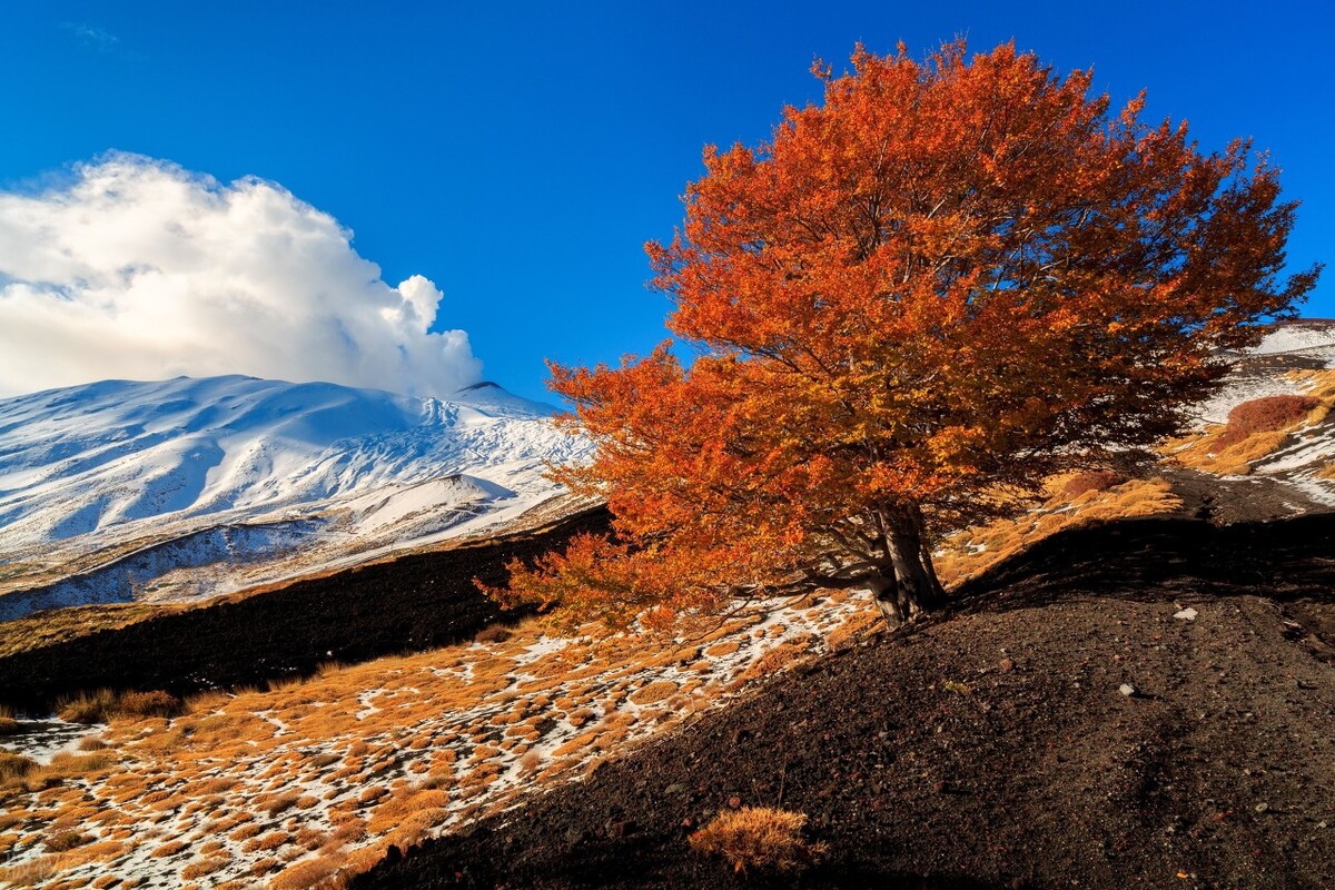 母亲怀第一胎时路遇学生打群架，眼见有人肠肚流出，受惊流产