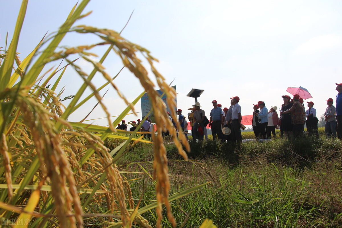 农业农村局有前途吗,农业农村局改革后怎么样