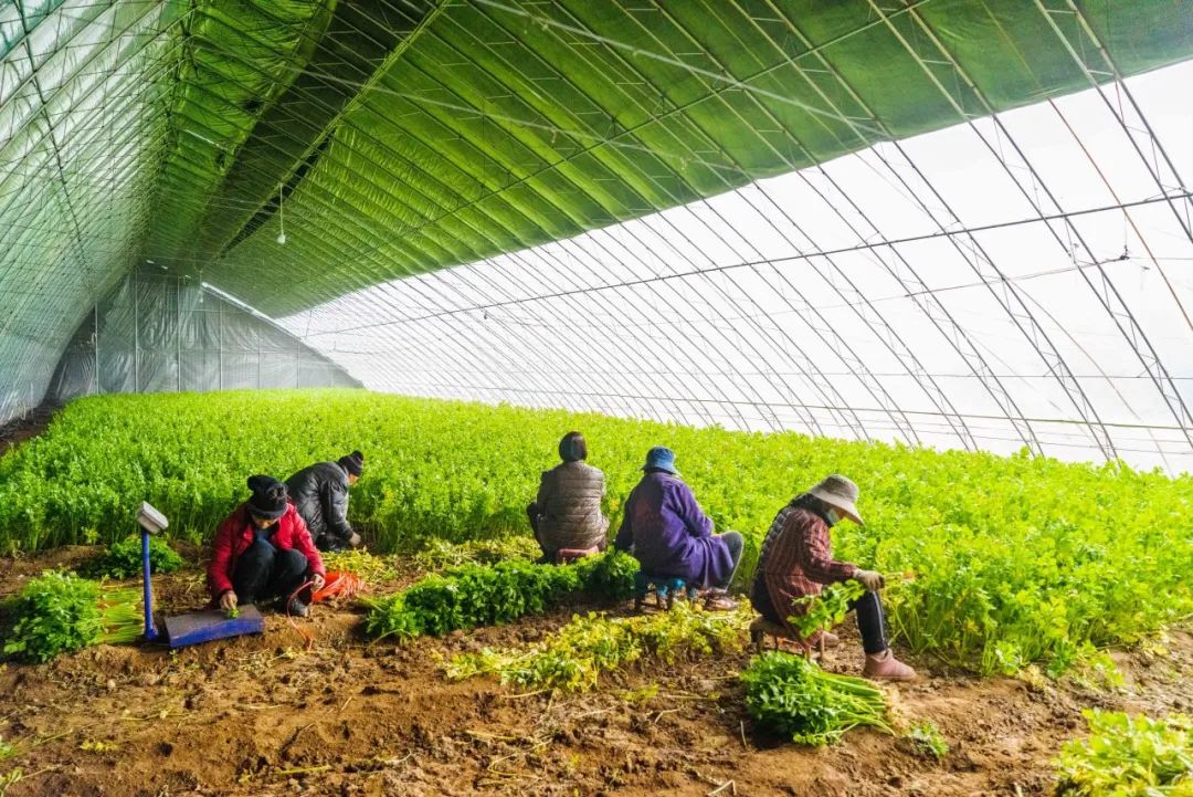 有颜值有内涵人居环境,有颜有格调有料有品质