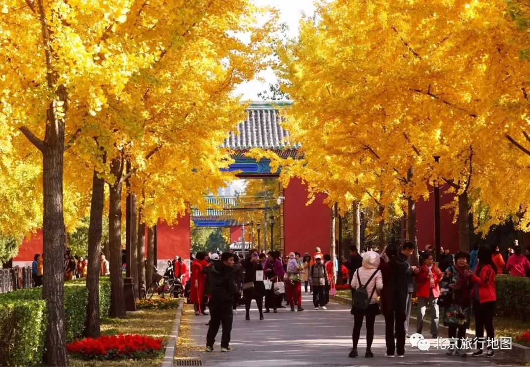 北京地坛公园是什么样子的,北京地坛有什么景点