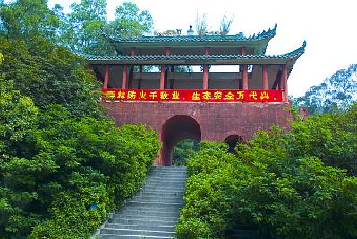 借问疫情何处去，根哥遥指大岭山