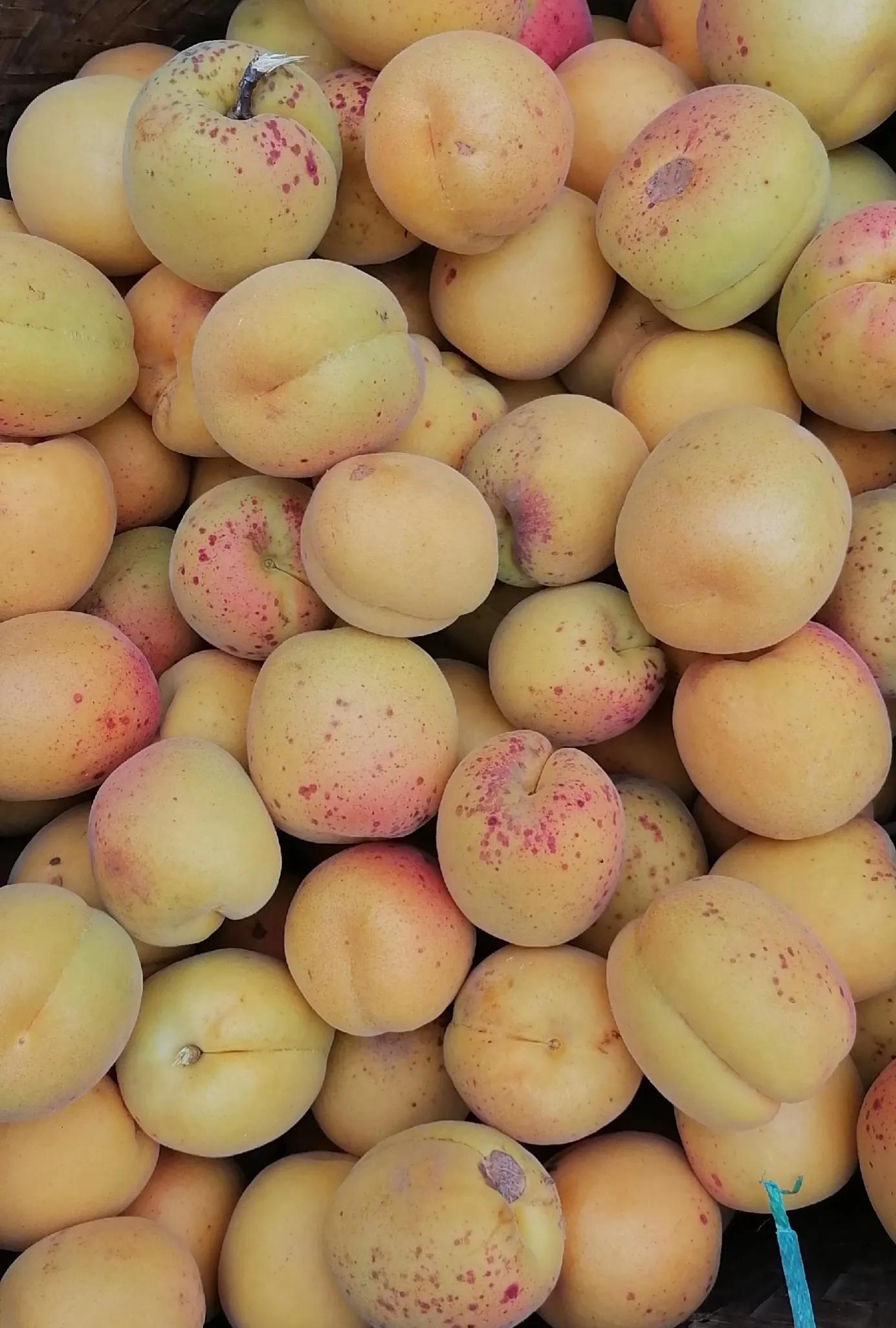 为什么水果产地会降价卖,水果产地为什么这么便宜