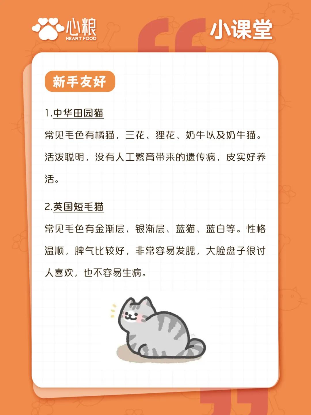 新手养猫指南搞笑,新手养猫有什么推荐的书