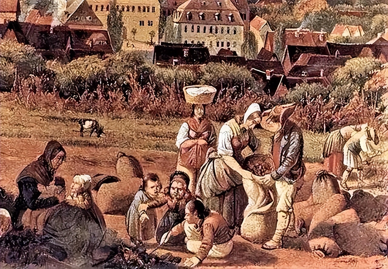 英国羊毛产业兴起,中世纪羊毛