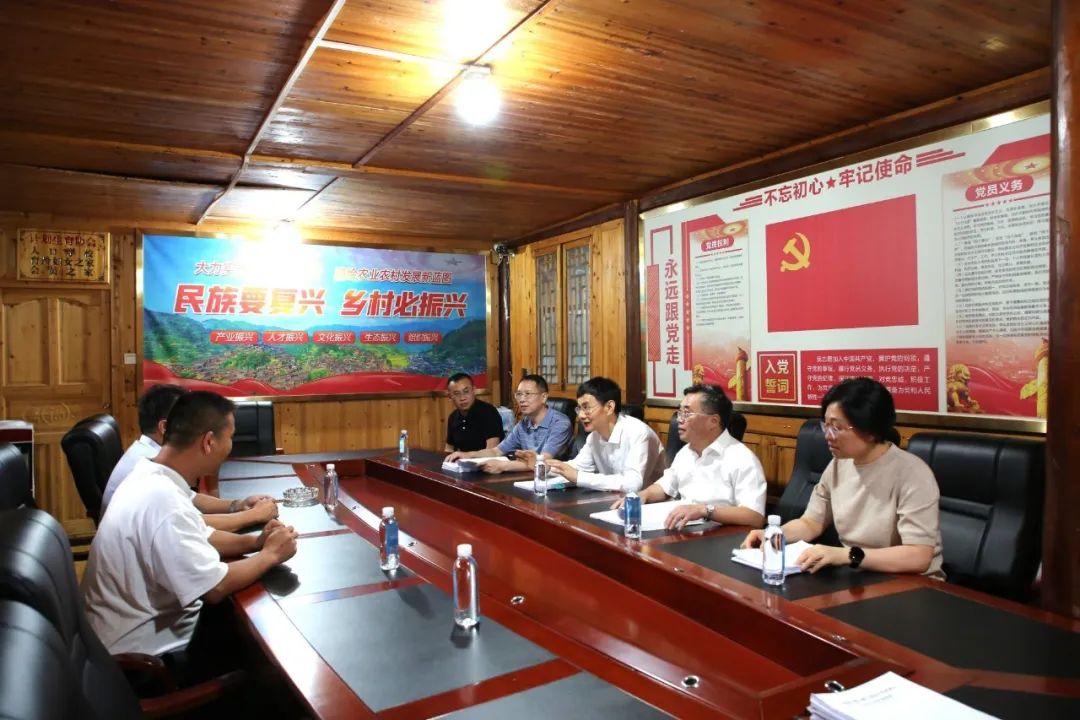 县人大调研乡村振兴集中推进区,县人大常委会视察乡村振兴工作