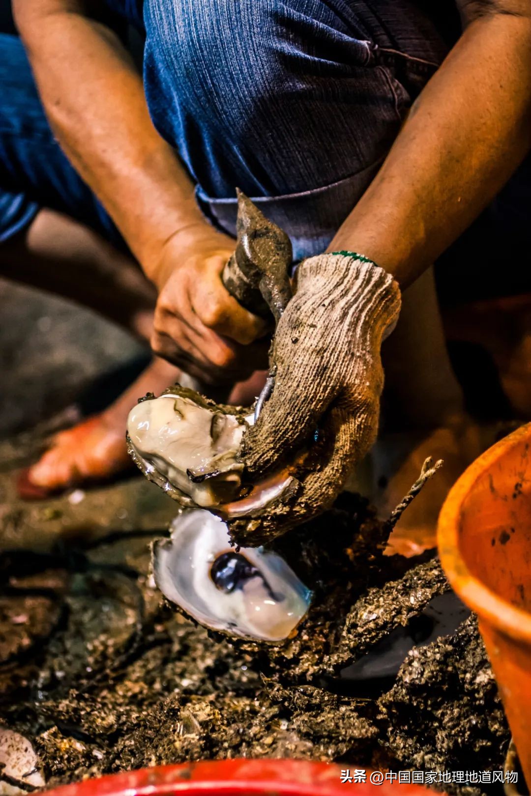 现在的海鲜什么比较好吃,中国哪的海鲜比较好