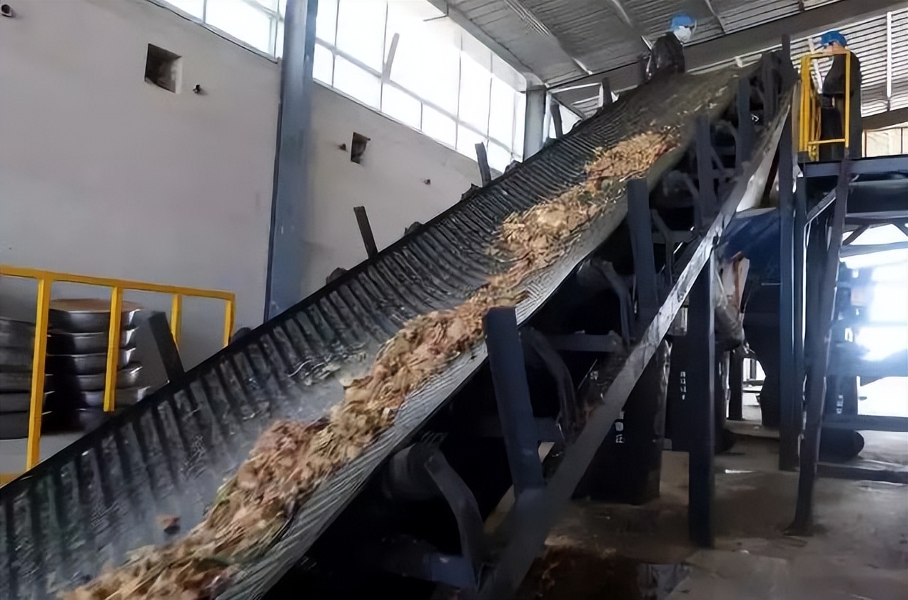 餐厨垃圾养殖蟑螂怎么拿补贴,山东养殖蟑螂解决餐厨垃圾