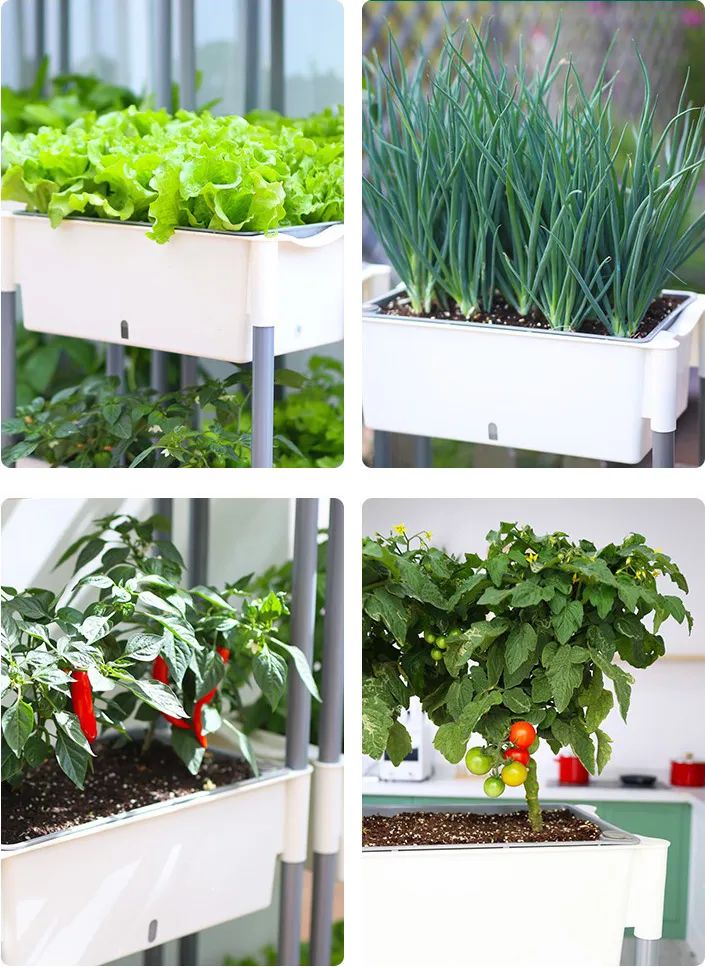 疫情过后买冰柜,疫情囤货买多大冰柜