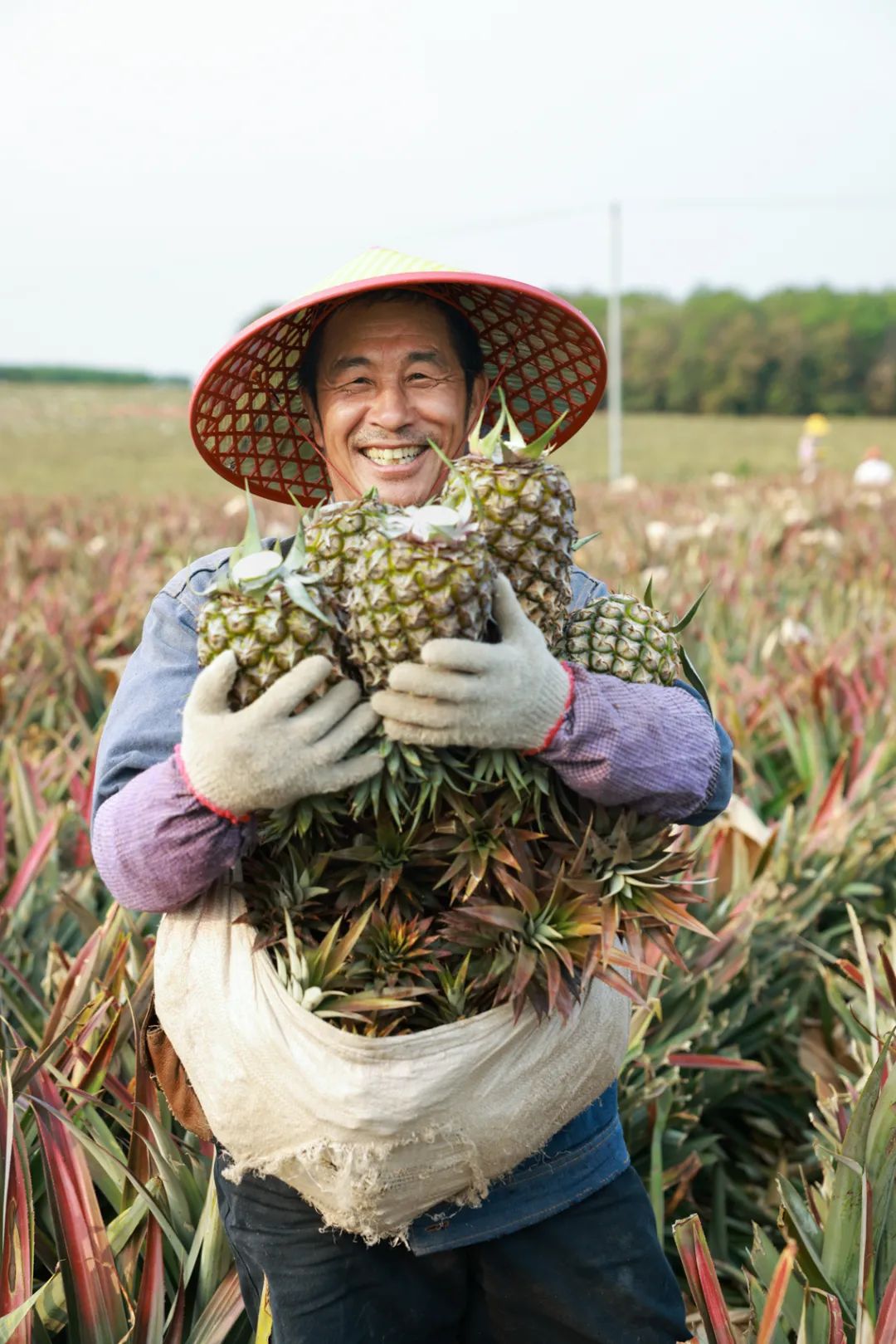 抖音电商山货,抖音农产品销售平台